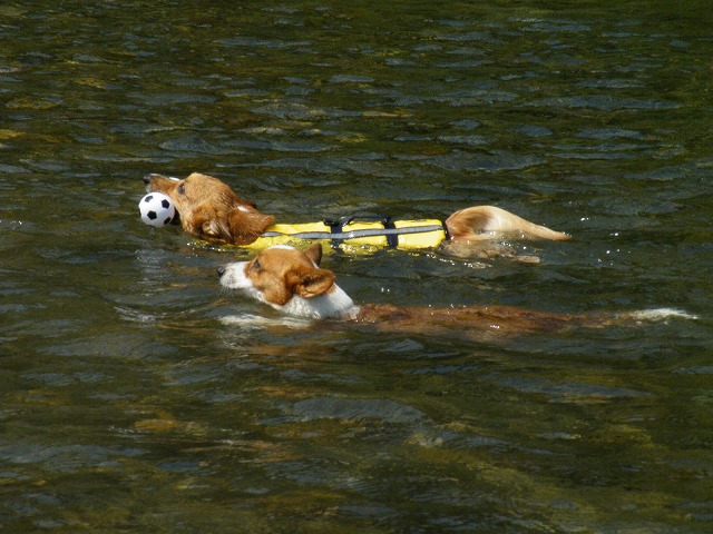 c0127617_18485547.jpg