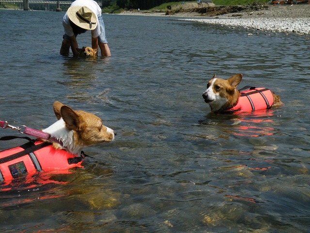 c0127617_18525025.jpg
