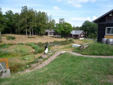 b0121019_21444117.jpg