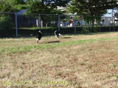 e0179321_130476.jpg