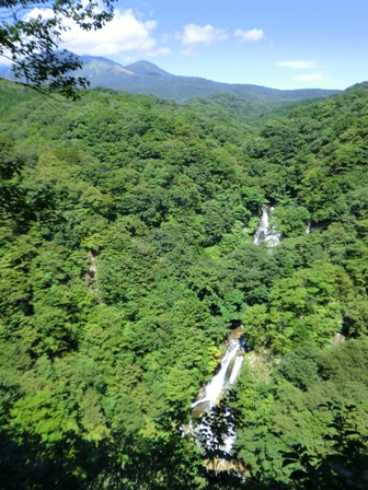 d0130927_11195892.jpg