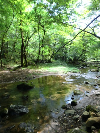 d0130927_112741.jpg