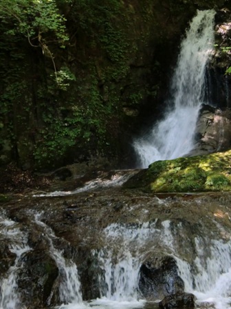 d0130927_1133347.jpg