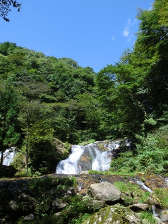 d0130927_11432711.jpg