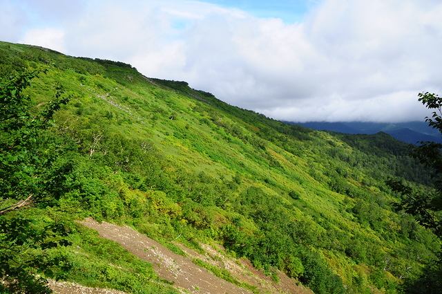 f0041230_16423935.jpg