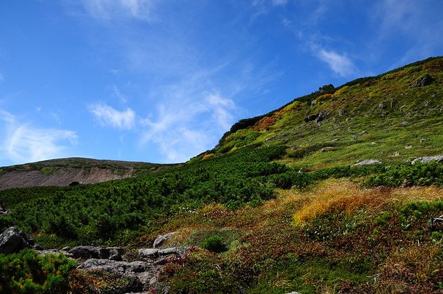 f0041230_1650337.jpg