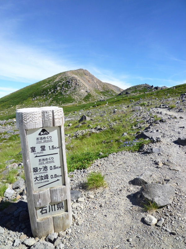 d0075131_1641339.jpg
