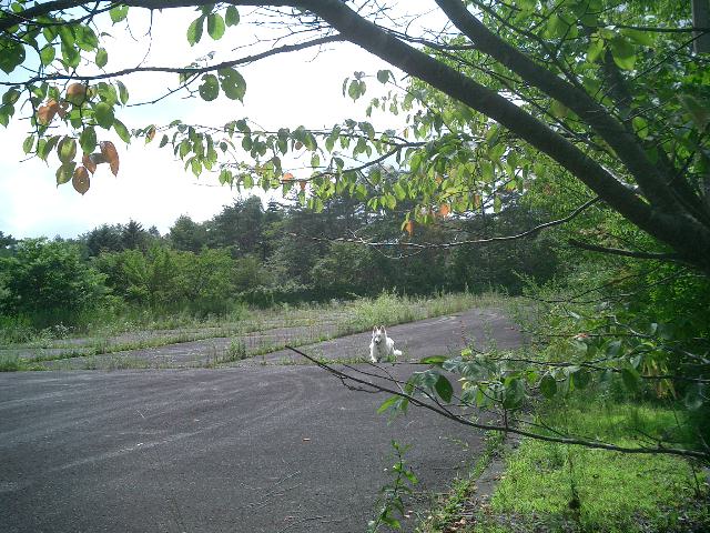 c0114833_2222173.jpg
