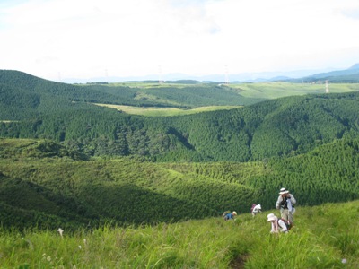 c0077338_8364686.jpg