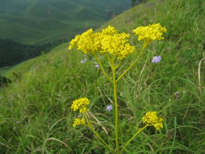 c0077338_8375641.jpg