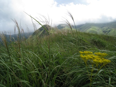 c0077338_8381430.jpg