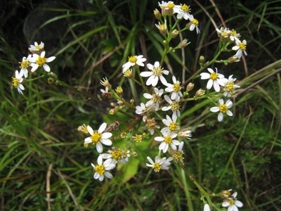 c0077338_8384075.jpg