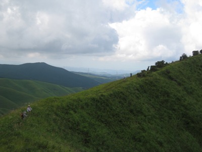 c0077338_8412370.jpg