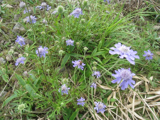 c0077338_8483936.jpg