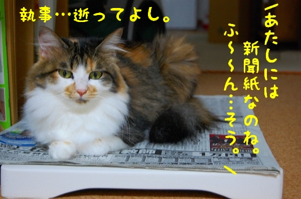 c0181639_1554751.jpg