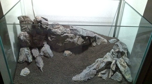 b0202747_14544415.jpg