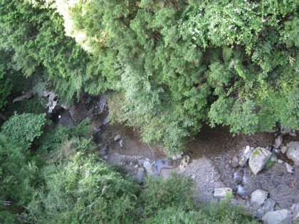 c0145449_1345079.jpg