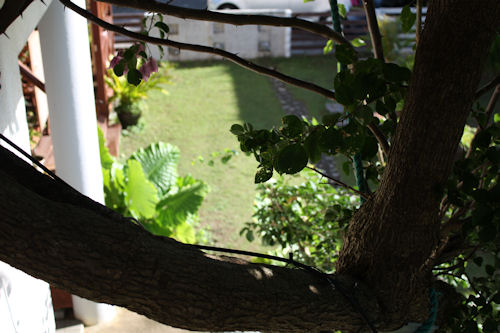 a0154957_1320610.jpg
