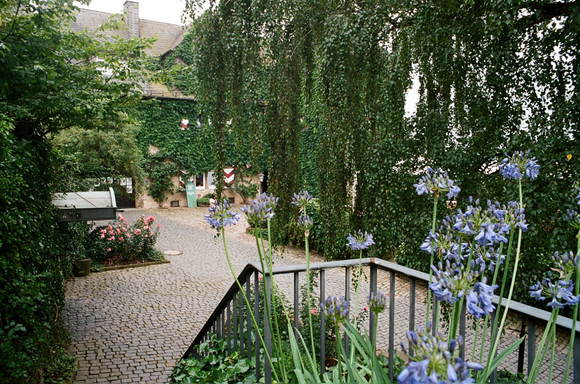 e0134658_19171692.jpg