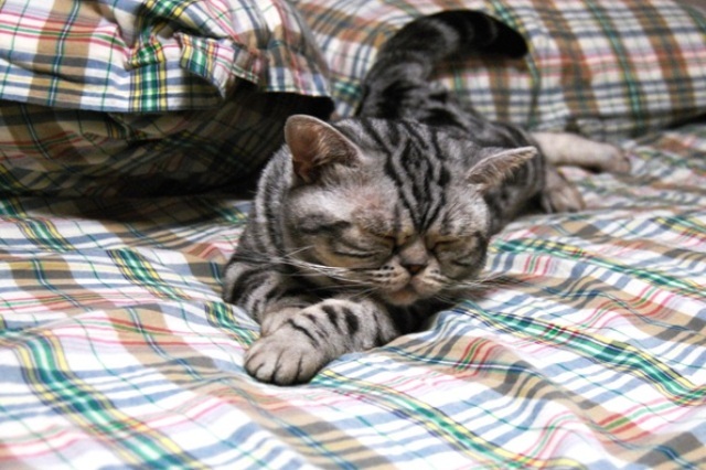 f0043859_20104117.jpg
