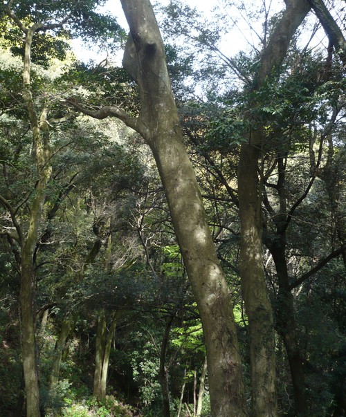 f0214562_801394.jpg