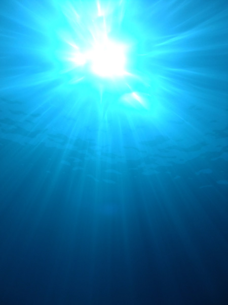 b0062363_6463398.jpg
