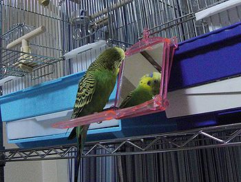 f0196665_051436.jpg