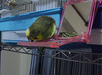 f0196665_0521661.jpg