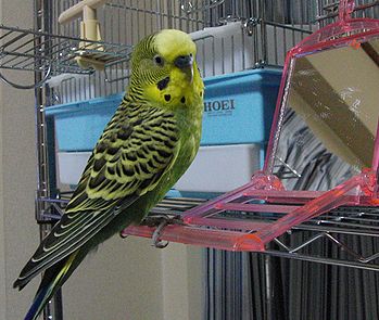 f0196665_053336.jpg