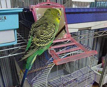 f0196665_0534215.jpg