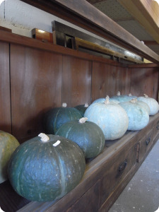 b0194867_12534100.jpg