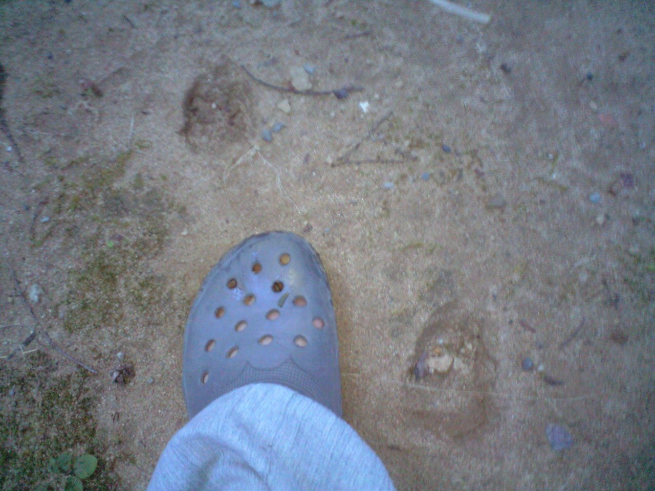 d0094868_738449.jpg