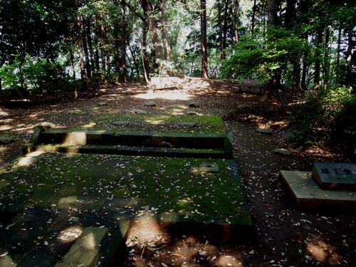 c0122670_123466.jpg