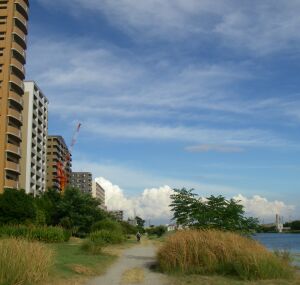e0143671_1258378.jpg