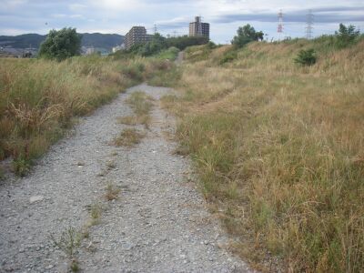 e0143671_130220.jpg