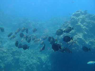 b0033573_16301251.jpg