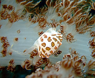 b0033573_16304571.jpg
