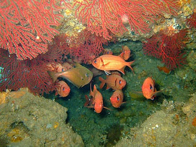 b0033573_1631384.jpg