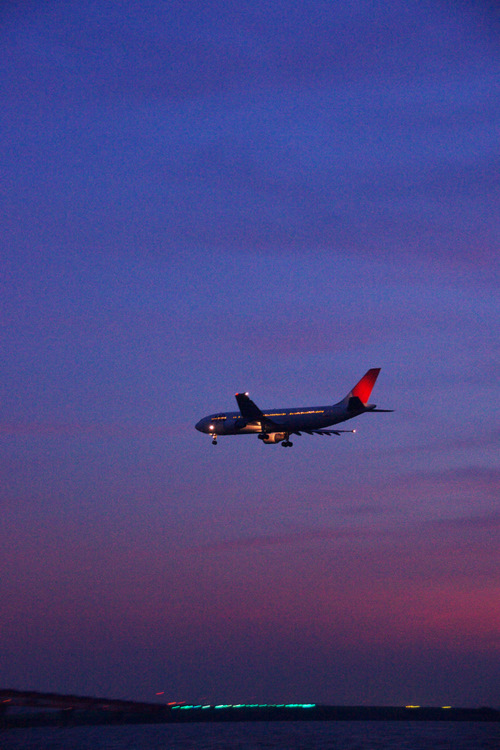 f0058275_1155433.jpg
