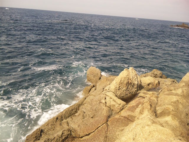 a0120877_2224619.jpg