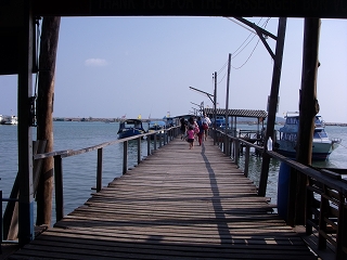 d0144077_2384886.jpg