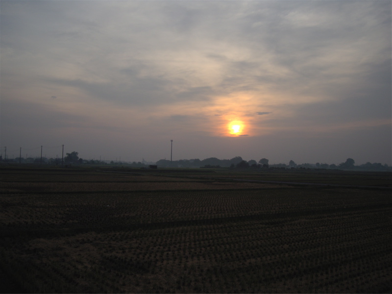 e0015377_2172532.jpg