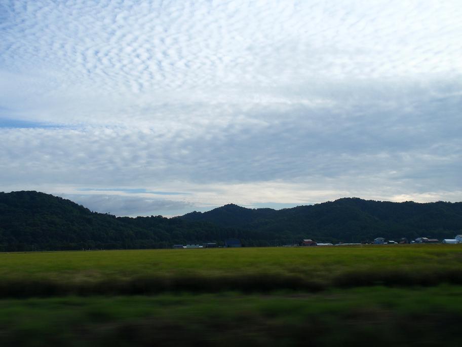 b0053478_1395180.jpg