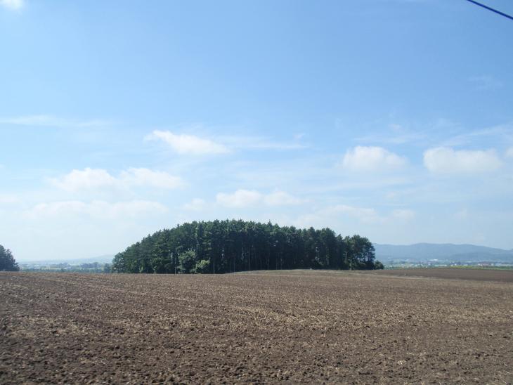 b0053478_14513523.jpg