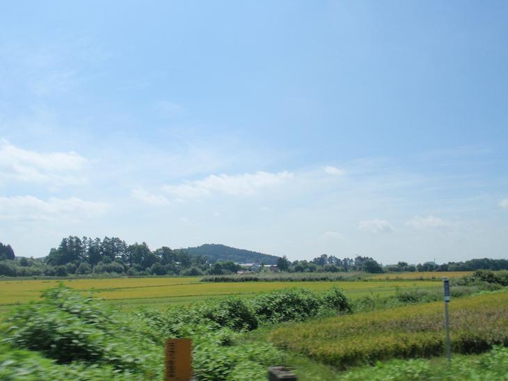 b0053478_14522735.jpg