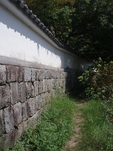 f0101679_1202228.jpg
