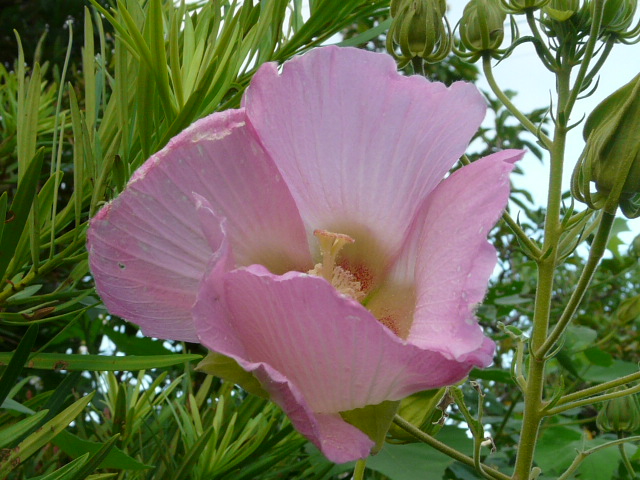 e0145782_17223100.jpg