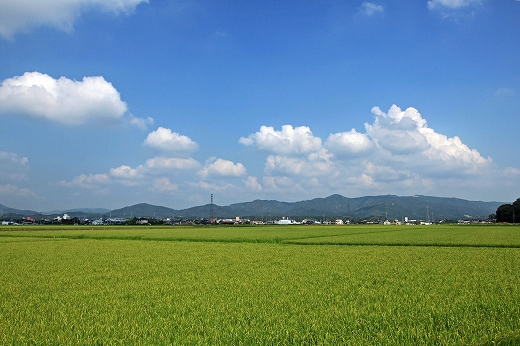 e0190885_17551442.jpg