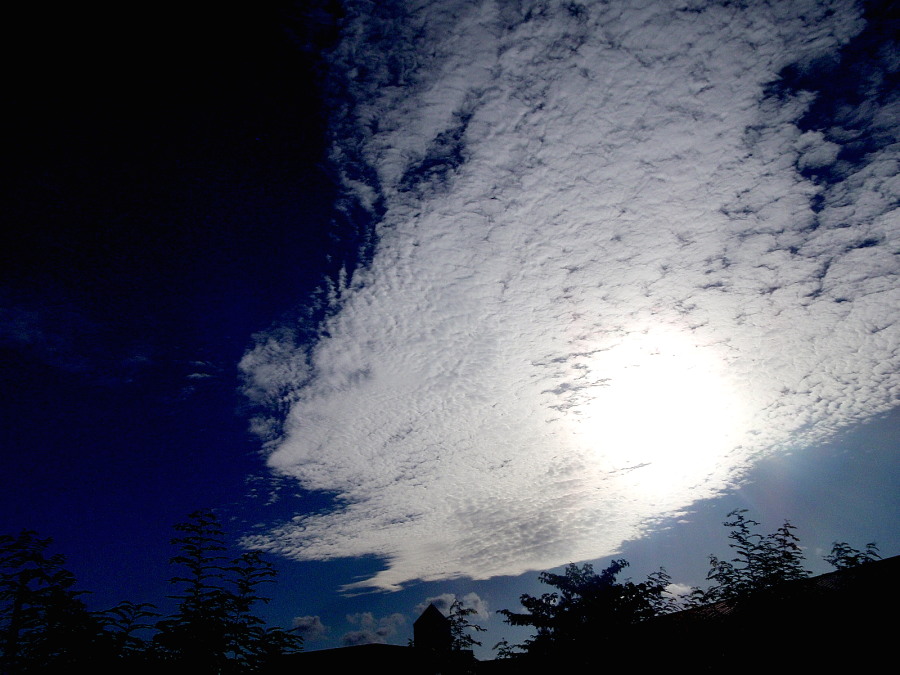 a0007388_9305329.jpg
