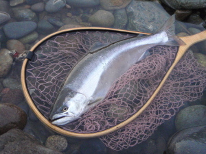 c0146788_11174665.jpg